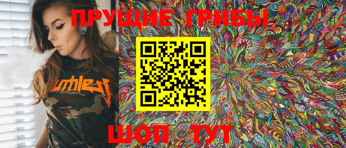 Галлюциногенные грибы Psilocybine cubensis Кизляр